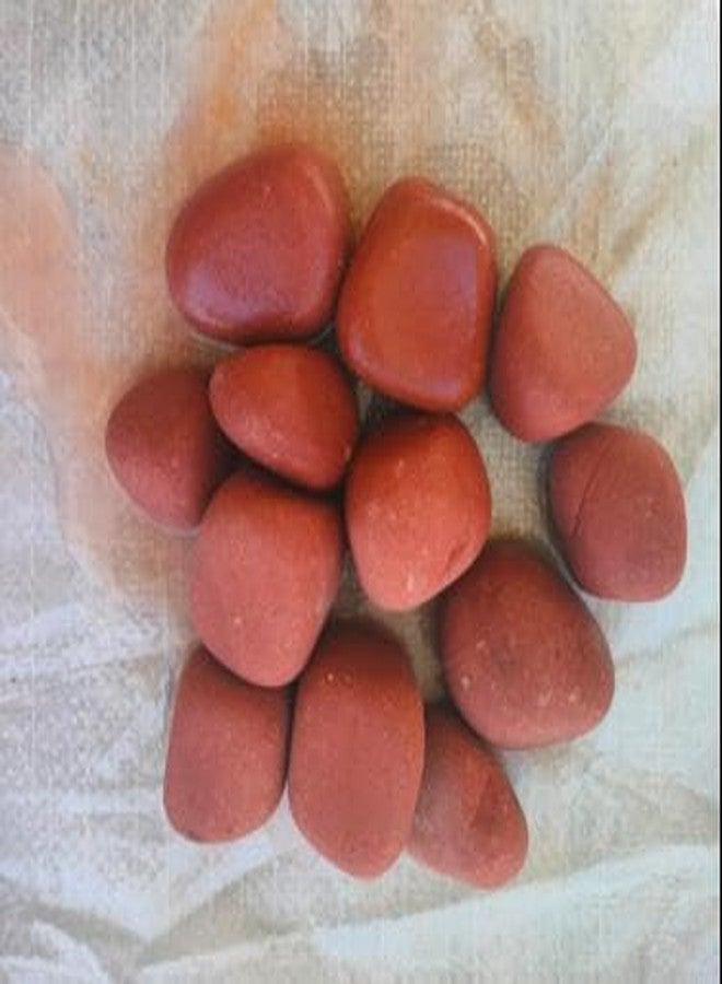 Bum Bum Bhole 2Kg Pebbles for Garden Decor Plant Home Decor Backyard Patio Pathway Indoor and Outdoor Gravel Soil Stone Pebbles Decoration Fish Tank Substrate Size - 1.5"- 3" - Image 2